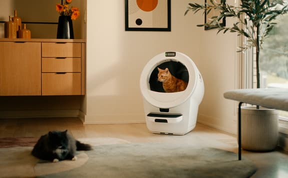 Whisker (Litter Robot) background